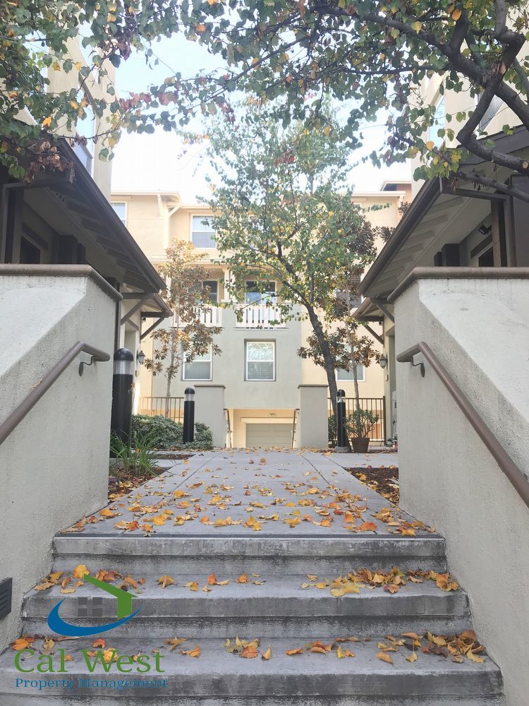 $2995 - 3 bedroom Townhouse in the Modern Ice Community property image