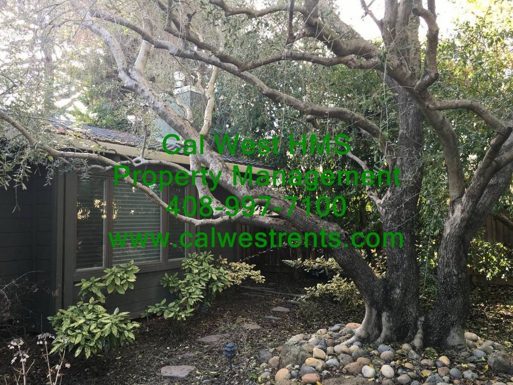 Beautiful 4 Bedroom 2.5 Bath Exclusive Los Altos Home property image