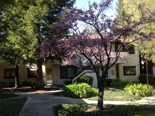 SANTA CLARA CONDOMINIUM 2 BEDROOM-2 BATH WITH COMMUNITY POOL property image