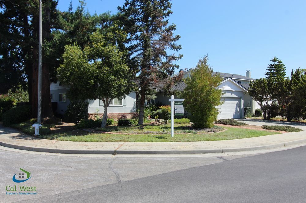 $3995 Beautiful 3/2 located in Sunnyvale near Reed and S. Wolfe property image